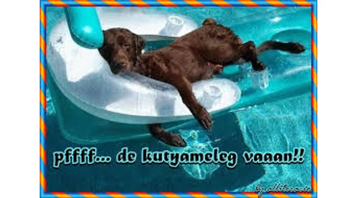 A légkondi használata, okosan – és egy kis humorral